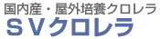国内産・屋外培養クロレラ SVクロレラ